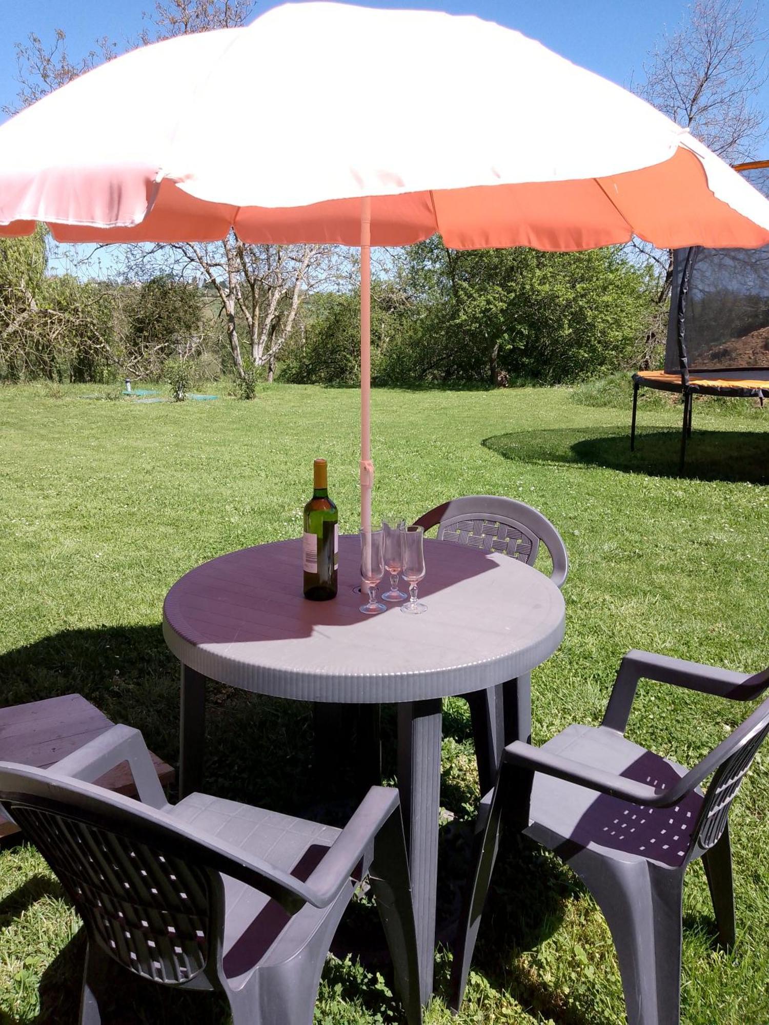 Pyrenees Vue Gite - Vues Fantastique, Parking Gratuit Sur Place & Piscine サン・ゴーダンス エクステリア 写真